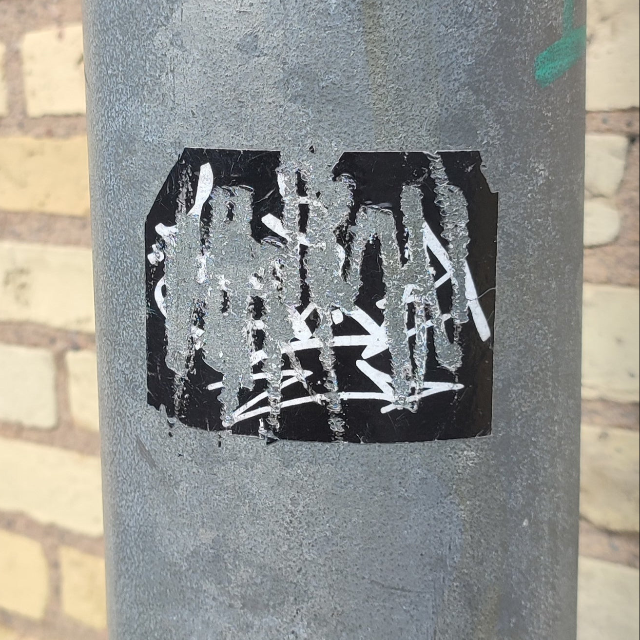 Eggshell - 6X6cm * 1000pcs